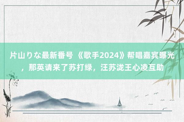 片山りな最新番号 《歌手2024》帮唱嘉宾曝光，那英请来了苏打绿，汪苏泷王心凌互助