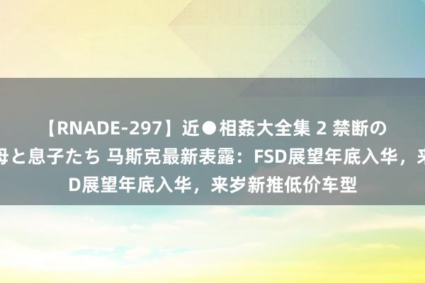 【RNADE-297】近●相姦大全集 2 禁断の性愛に堕ちた義母と息子たち 马斯克最新表露：FSD展望年底入华，来岁新推低价车型