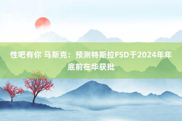 性吧有你 马斯克：预测特斯拉FSD于2024年年底前在华获批