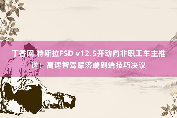 丁香网 特斯拉FSD v12.5开动向非职工车主推送：高速智驾赈济端到端技巧决议