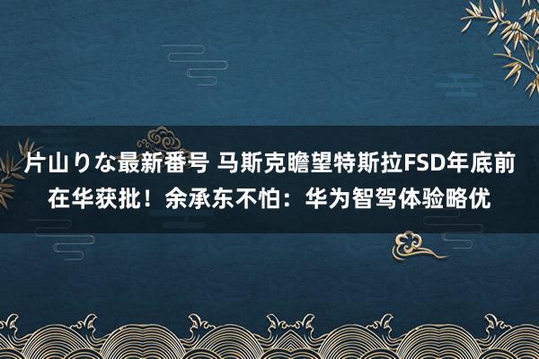 片山りな最新番号 马斯克瞻望特斯拉FSD年底前在华获批！余承东不怕：华为智驾体验略优