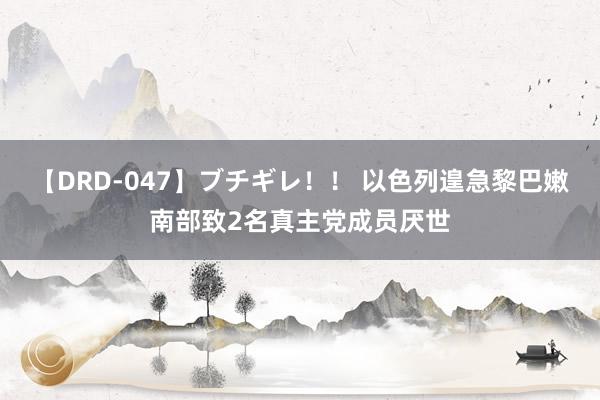 【DRD-047】ブチギレ！！ 以色列遑急黎巴嫩南部致2名真主党成员厌世