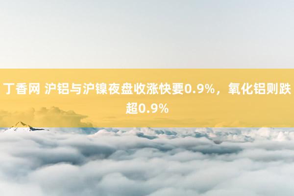 丁香网 沪铝与沪镍夜盘收涨快要0.9%，氧化铝则跌超0.9%