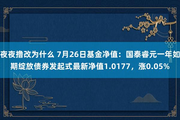 夜夜撸改为什么 7月26日基金净值：国泰睿元一年如期绽放债券发起式最新净值1.0177，涨0.05%