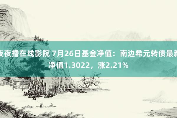 夜夜撸在线影院 7月26日基金净值：南边希元转债最新净值1.3022，涨2.21%