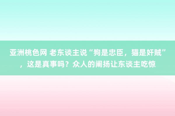 亚洲桃色网 老东谈主说“狗是忠臣，猫是奸贼”，这是真事吗？众人的阐扬让东谈主吃惊