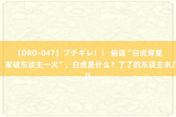 【DRD-047】ブチギレ！！ 俗话“白虎穿堂，家破东谈主一火”，白虎是什么？了了的东谈主未几