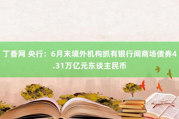 丁香网 央行：6月末境外机构抓有银行间商场债券4.31万亿元东谈主民币