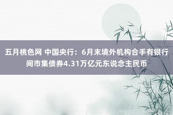 五月桃色网 中国央行：6月末境外机构合手有银行间市集债券4.31万亿元东说念主民币