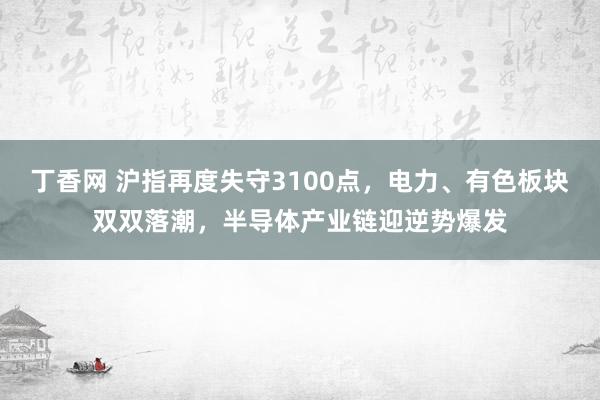 丁香网 沪指再度失守3100点，电力、有色板块双双落潮，半导体产业链迎逆势爆发