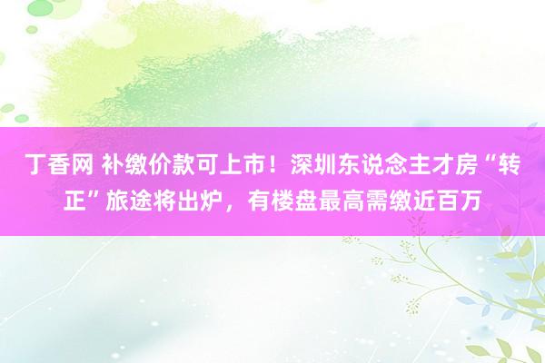 丁香网 补缴价款可上市！深圳东说念主才房“转正”旅途将出炉，有楼盘最高需缴近百万