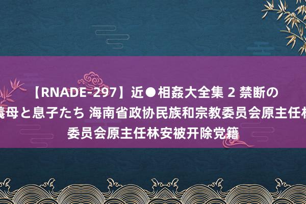 【RNADE-297】近●相姦大全集 2 禁断の性愛に堕ちた義母と息子たち 海南省政协民族和宗教委员会原主任林安被开除党籍