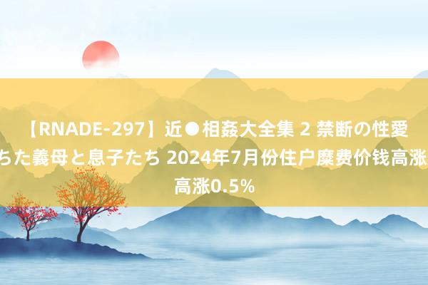 【RNADE-297】近●相姦大全集 2 禁断の性愛に堕ちた義母と息子たち 2024年7月份住户糜费价钱高涨0.5%