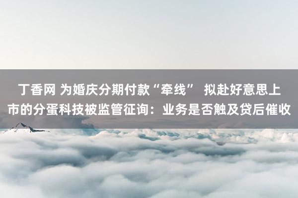 丁香网 为婚庆分期付款“牵线”  拟赴好意思上市的分蛋科技被监管征询：业务是否触及贷后催收