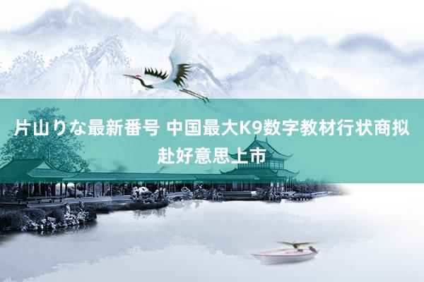 片山りな最新番号 中国最大K9数字教材行状商拟赴好意思上市