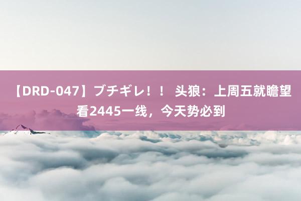 【DRD-047】ブチギレ！！ 头狼：上周五就瞻望看2445一线，今天势必到