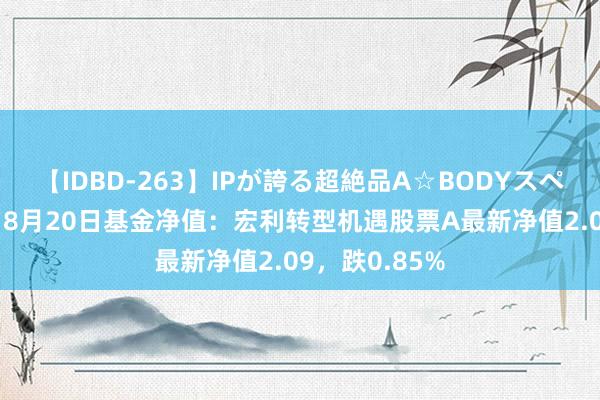 【IDBD-263】IPが誇る超絶品A☆BODYスペシャル8時間 8月20日基金净值：宏利转型机遇股票A最新净值2.09，跌0.85%