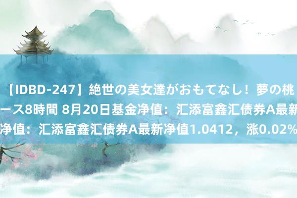 【IDBD-247】絶世の美女達がおもてなし！夢の桃源郷 IP風俗街 VIPコース8時間 8月20日基金净值：汇添富鑫汇债券A最新净值1.0412，涨0.02%