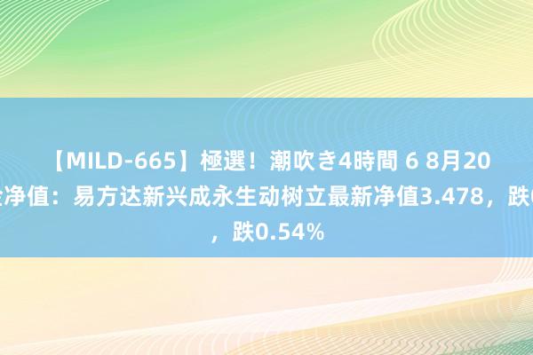 【MILD-665】極選！潮吹き4時間 6 8月20日基金净值：易方达新兴成永生动树立最新净值3.478，跌0.54%