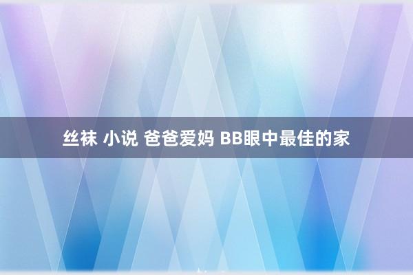 丝袜 小说 爸爸爱妈 BB眼中最佳的家