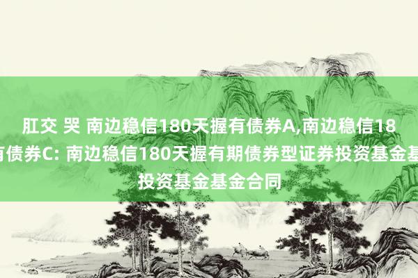 肛交 哭 南边稳信180天握有债券A，南边稳信180天握有债券C: 南边稳信180天握有期债券型证券投资基金基金合同