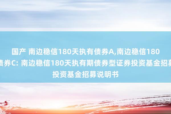 国产 南边稳信180天执有债券A，南边稳信180天执有债券C: 南边稳信180天执有期债券型证券投资基金招募说明书