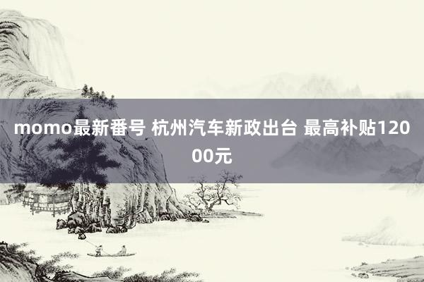 momo最新番号 杭州汽车新政出台 最高补贴12000元