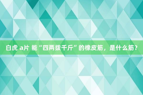 白虎 a片 能“四两拨千斤”的橡皮筋，是什么筋？