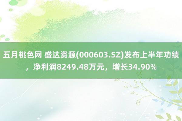 五月桃色网 盛达资源(000603.SZ)发布上半年功绩，净利润8249.48万元，增长34.90%