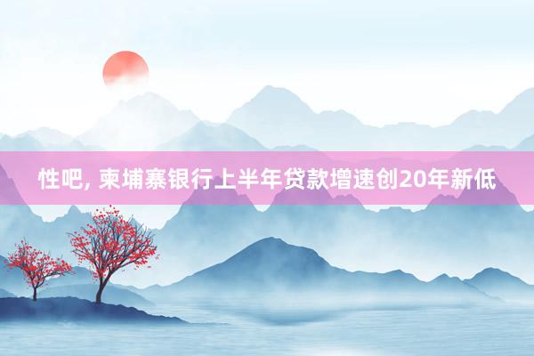 性吧， 柬埔寨银行上半年贷款增速创20年新低